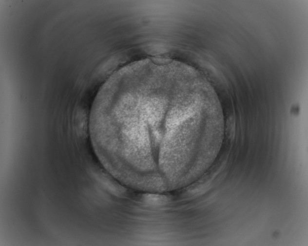 X0000101440234200808041222