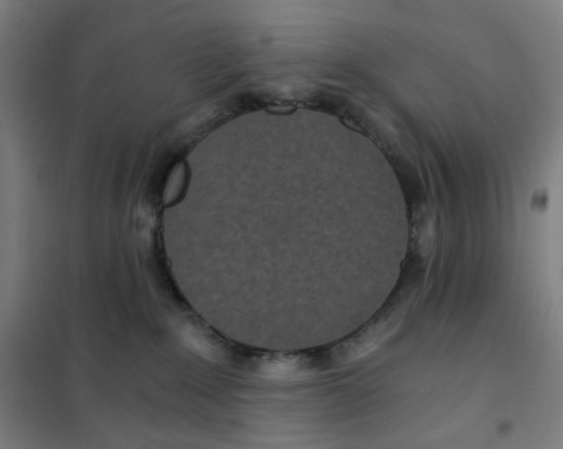 X0000101440235200808041222