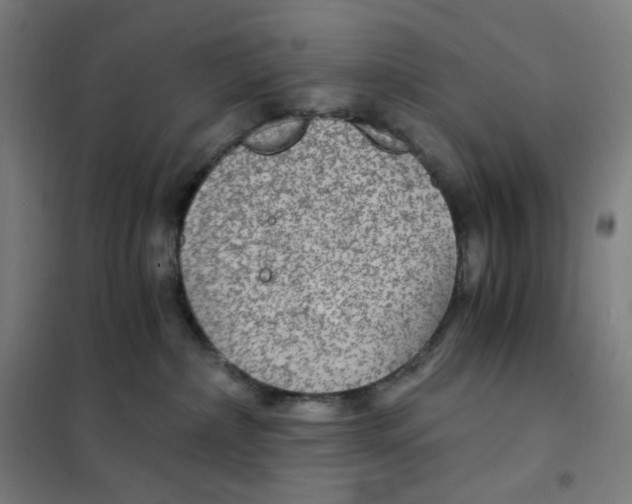 X0000101440236200808041222