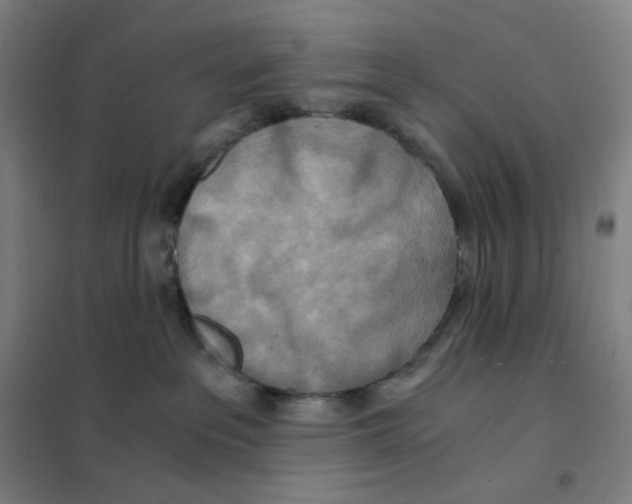 X0000101440237200808041222