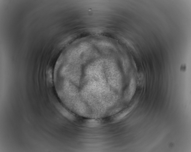 X0000101440238200808041222