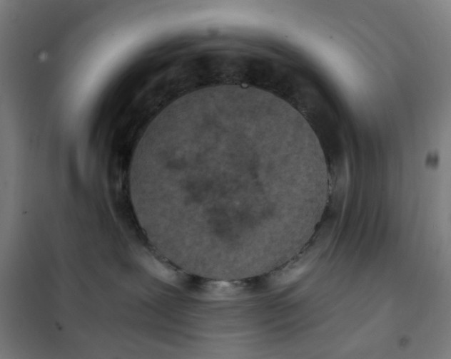 X0000101440239200808041222