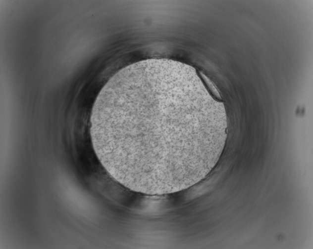 X0000101440240200808041222