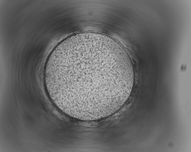 X0000101440241200808041221