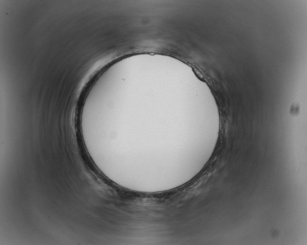 X0000101440244200808041221