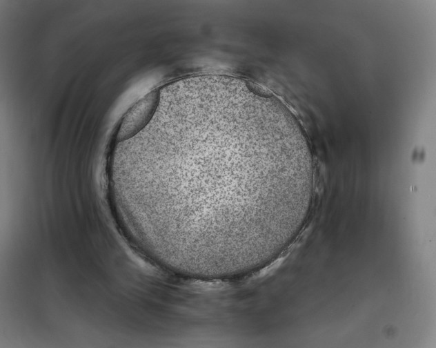 X0000101440245200808041221