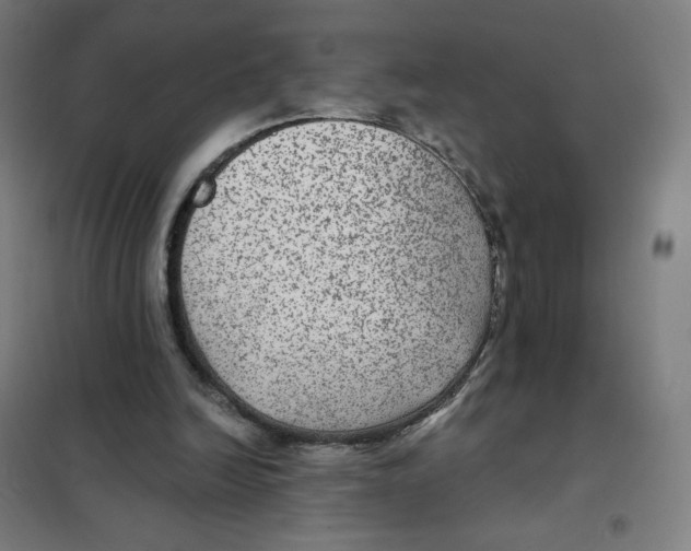 X0000101440246200808041221