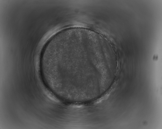 X0000101440247200808041221