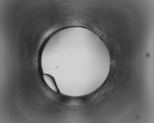 X0000101440248200808041221