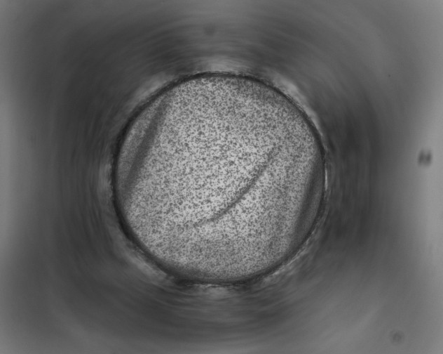 X0000101440249200808041221