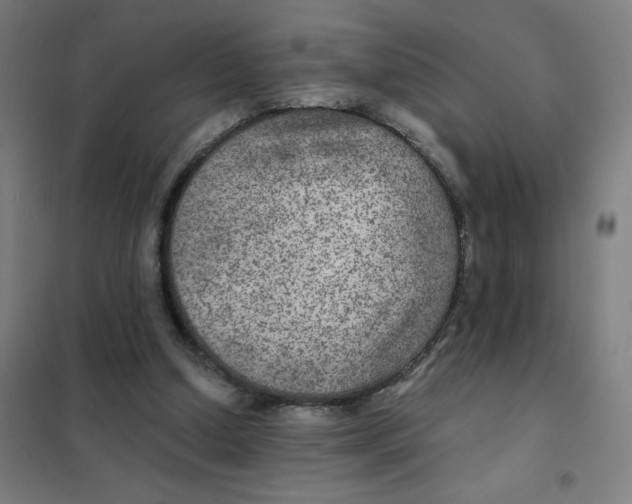 X0000101440250200808041221