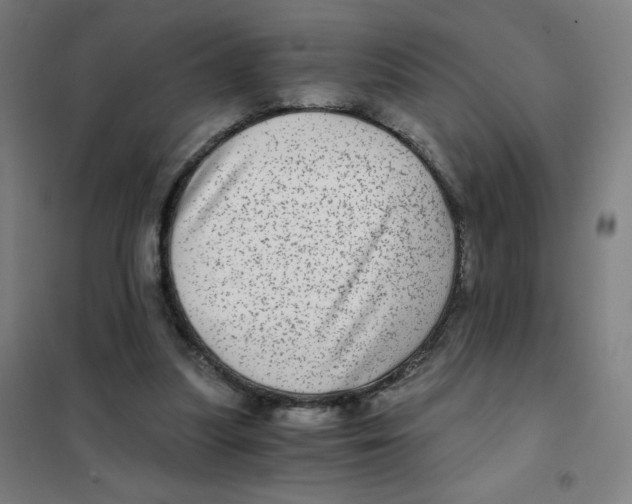 X0000101440251200808041221