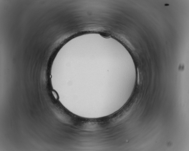 X0000101440252200808041221