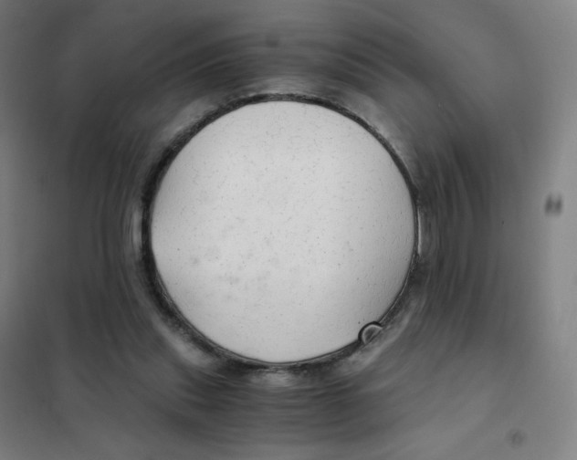 X0000101440253200808041221