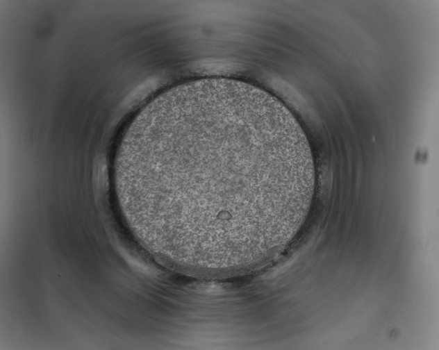 X0000101440254200808041221