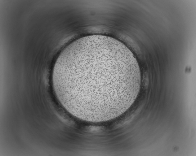 X0000101440255200808041221