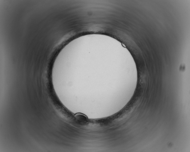 X0000101440256200808041221