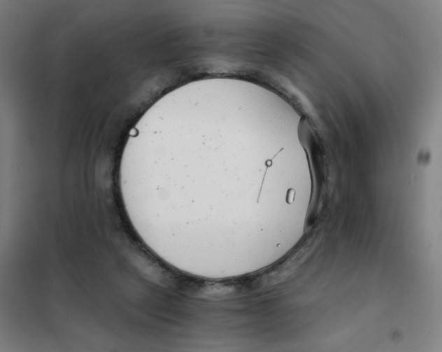 X0000101440257200808041221