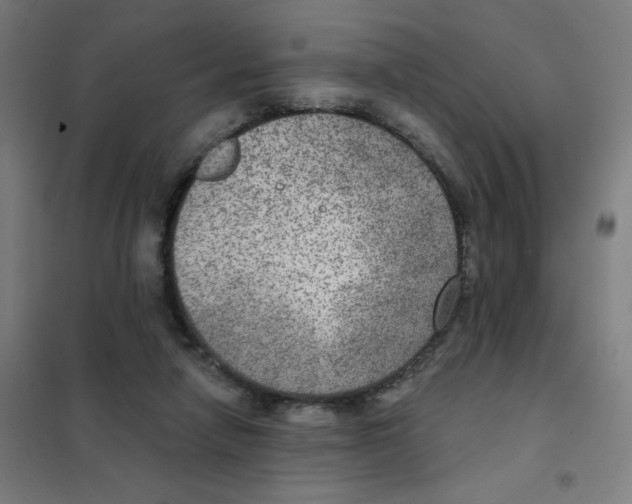 X0000101440258200808041221