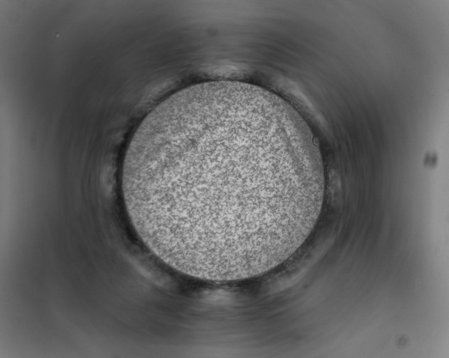X0000101440259200808041221