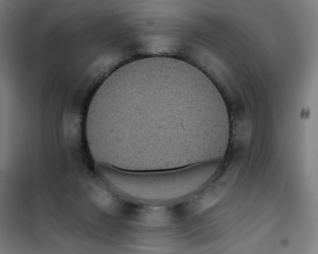 X0000101440260200808041221