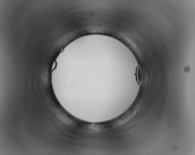 X0000101440261200808041221