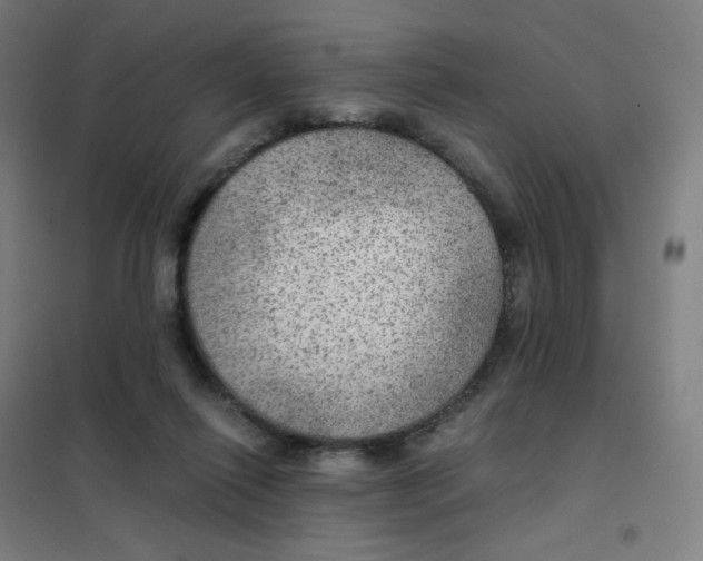 X0000101440262200808041221
