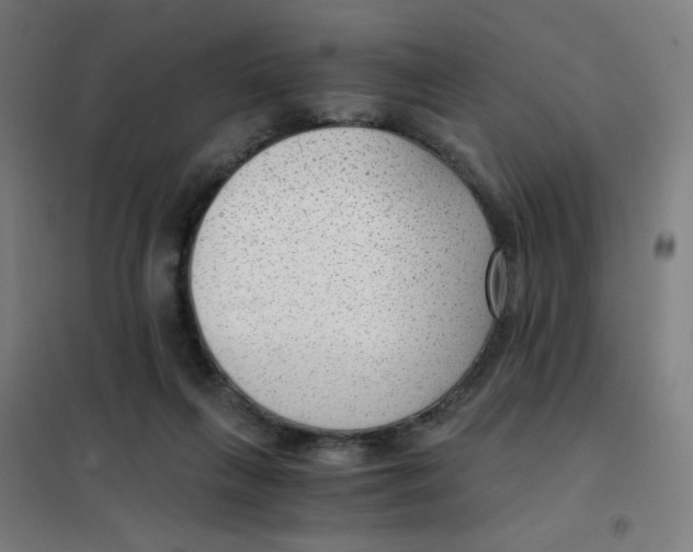 X0000101440263200808041221