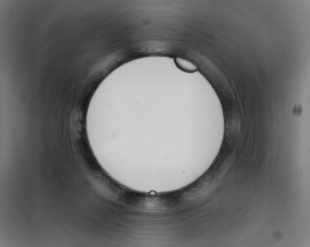 X0000101440264200808041221