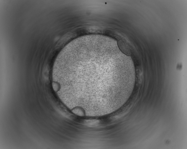 X0000101440266200808041221