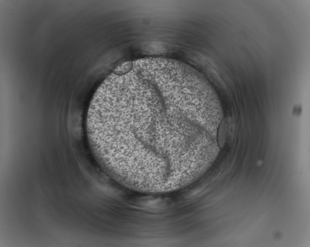 X0000101440267200808041221