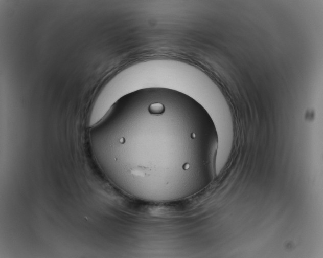 X0000101440268200808041221