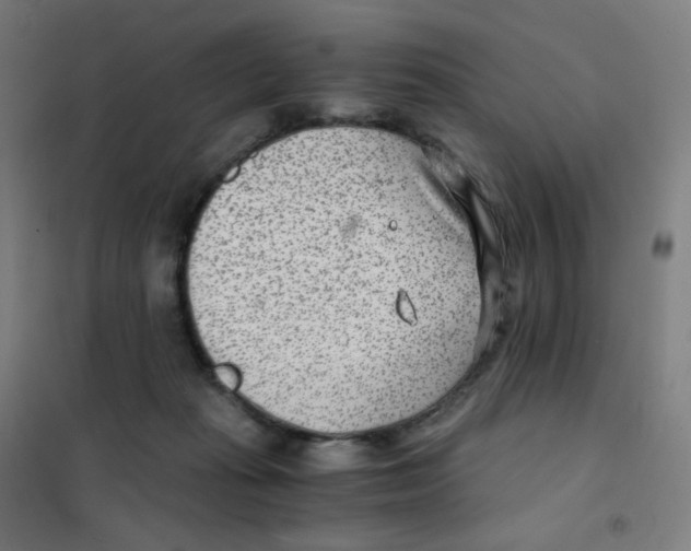 X0000101440269200808041221