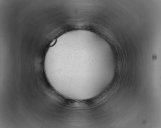 X0000101440270200808041221