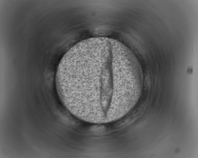 X0000101440271200808041221