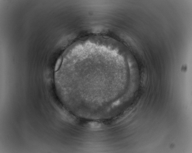 X0000101440272200808041221