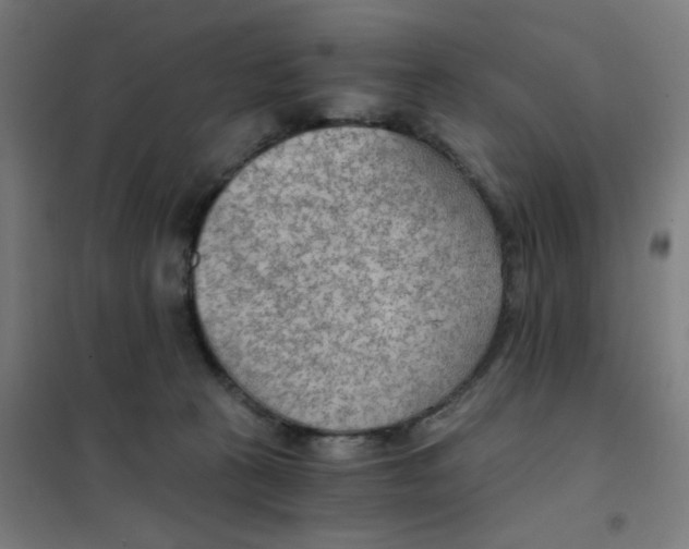X0000101440273200808041221