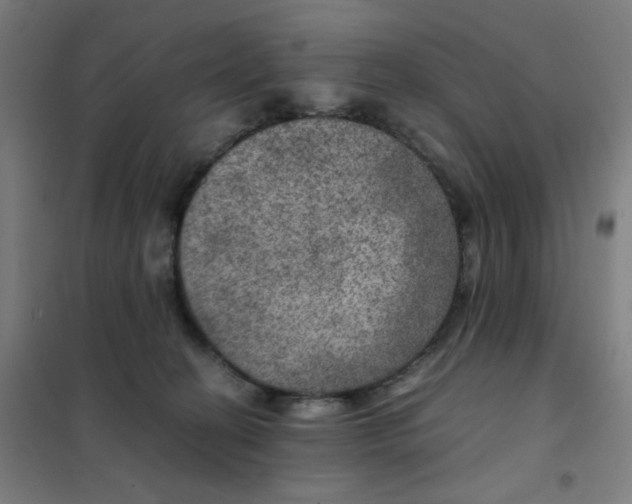 X0000101440274200808041221