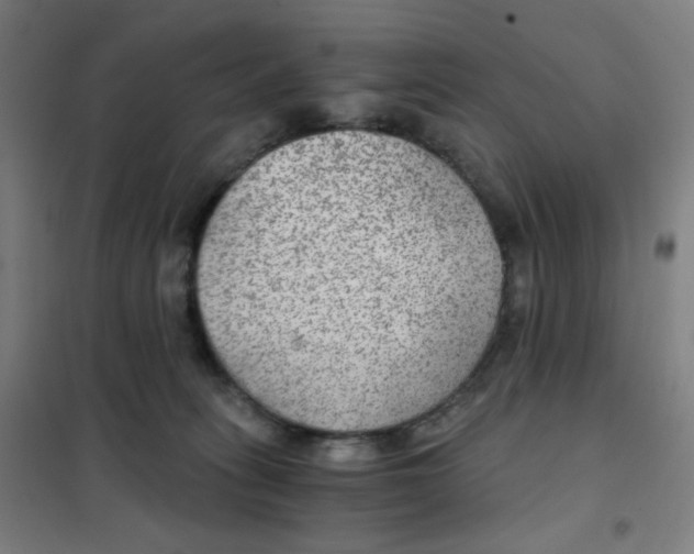 X0000101440275200808041221