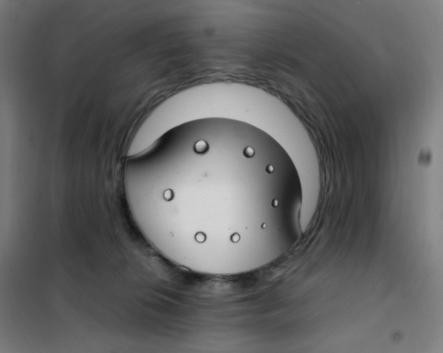 X0000101440276200808041221