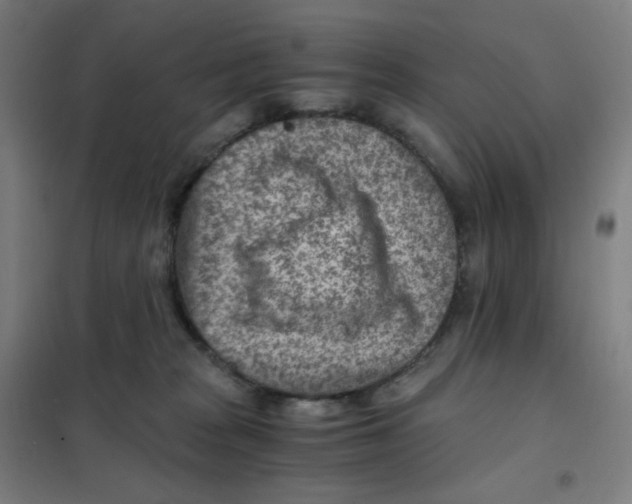 X0000101440277200808041222