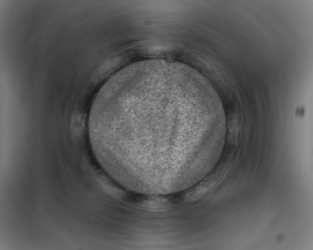 X0000101440278200808041222