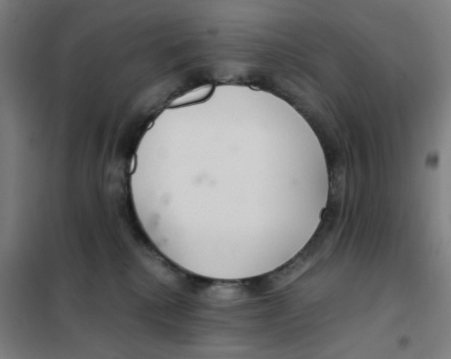 X0000101440280200808041222