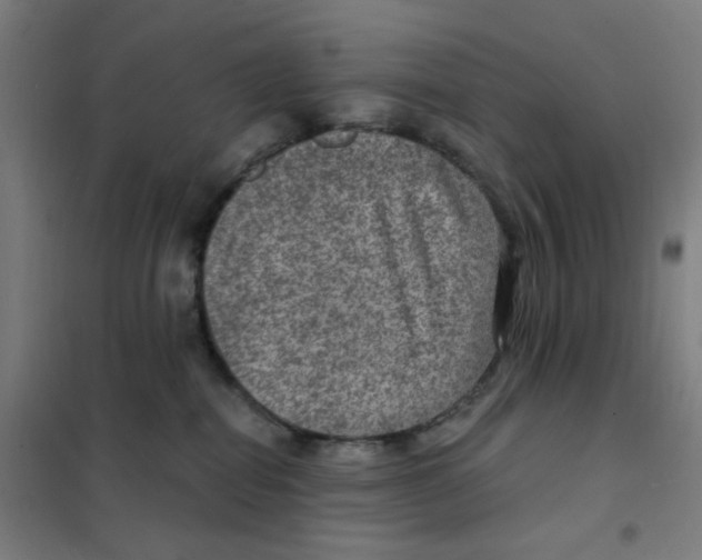 X0000101440282200808041222