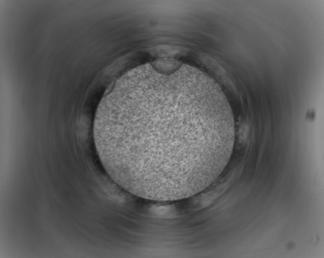 X0000101440283200808041222