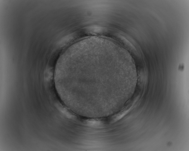 X0000101440284200808041222