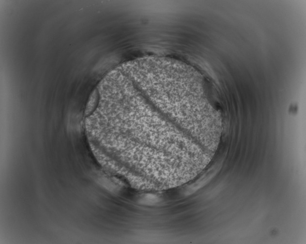 X0000101440285200808041222