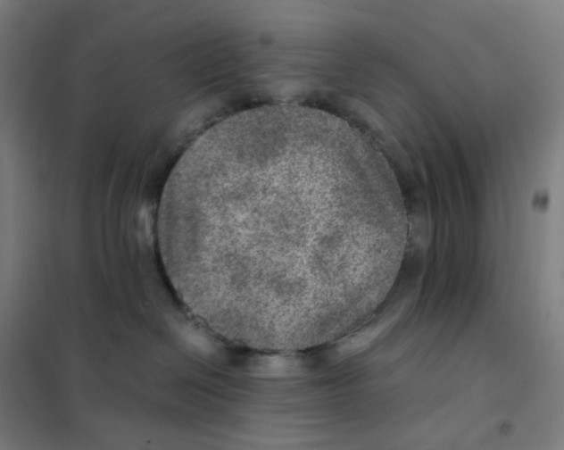 X0000101440286200808041222