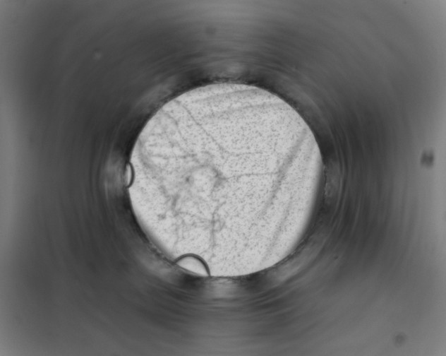 X0000101440287200808041222