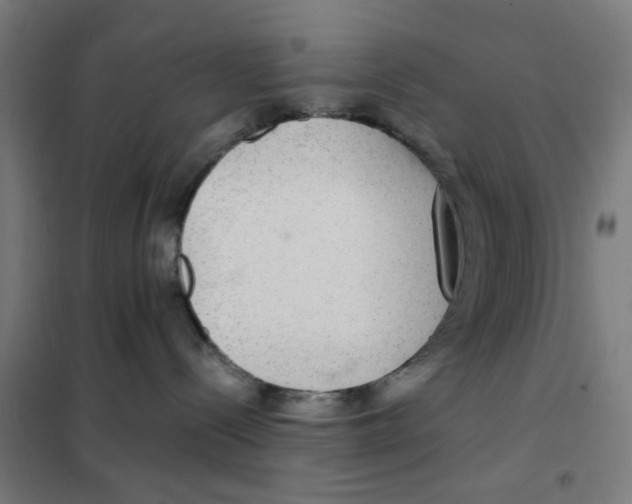 X0000101440288200808041222